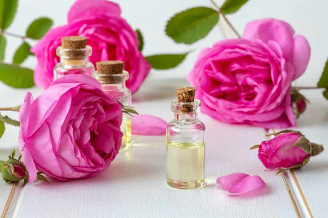 قیمت خرید گلاب قمصر  عمده به صرفه و ارزان